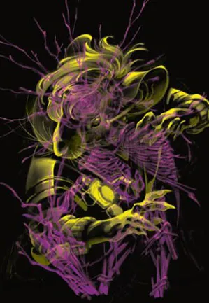Nashi, chercheur de l'ombre - Illustration