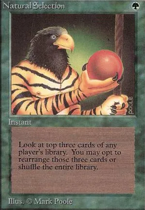 Natural Selection