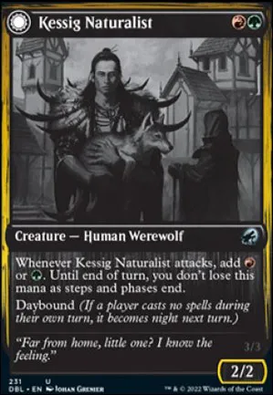 Naturaliste de Kessig // Seigneur d'Ulvenwald