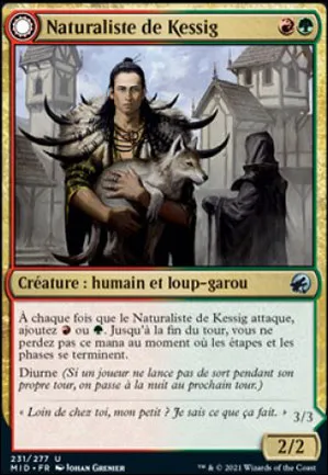 Naturaliste de Kessig // Seigneur d'Ulvenwald