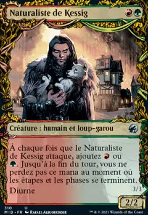 Naturaliste de Kessig // Seigneur d'Ulvenwald
