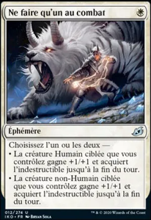 Ne faire qu'un au combat
