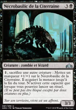 Nécrobasilic de la Citerraine