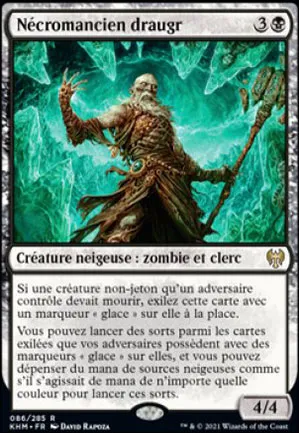 Nécromancien draugr