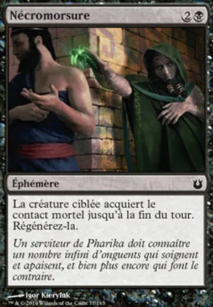 Nécromorsure