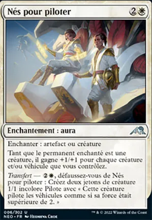 Nés pour piloter