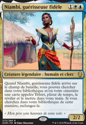 Niambi, guérisseuse fidèle