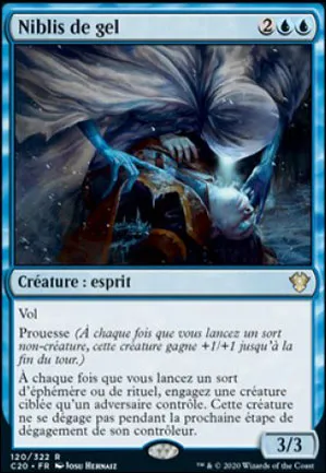 Niblis de gel