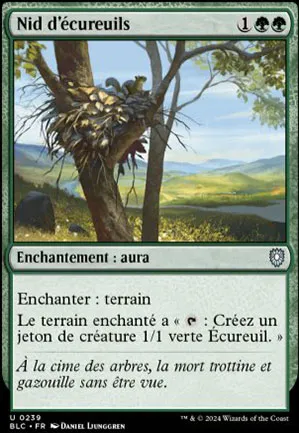 Nid d'écureuils