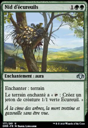 Nid d'écureuils