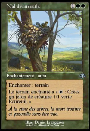 Nid d'écureuils