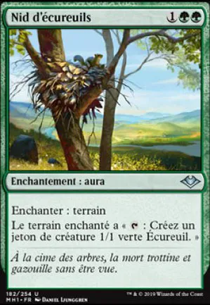 Nid d'écureuils