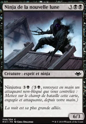 Ninja de la nouvelle lune
