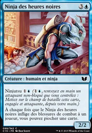 Ninja des heures noires