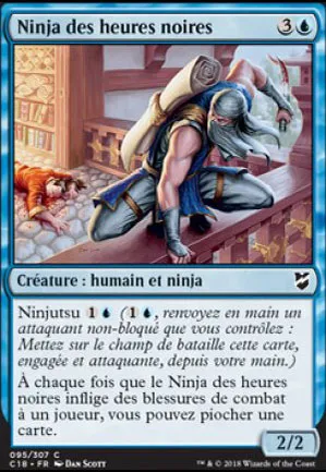Ninja des heures noires