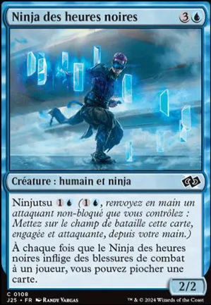 Ninja des heures noires
