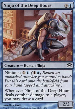 Ninja des heures noires