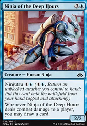 Ninja des heures noires