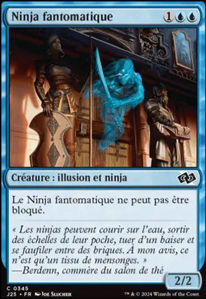 Ninja fantomatique