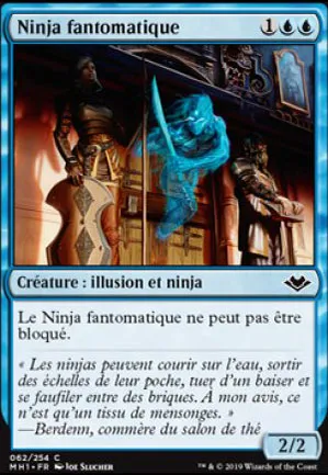 Ninja fantomatique