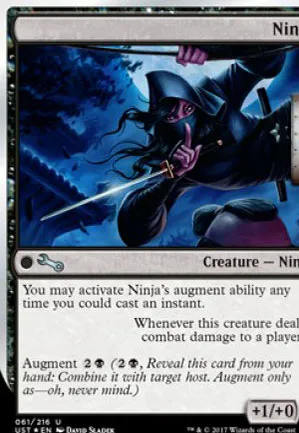Ninja