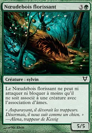 Nœudebois florissant