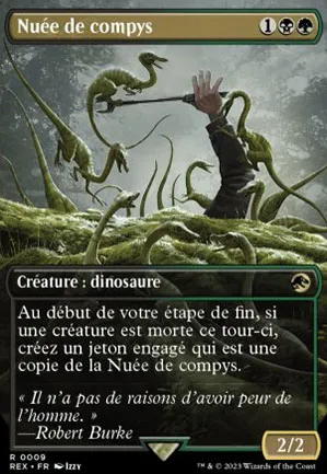 Nuée de compys