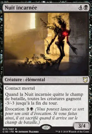 Nuit incarnée