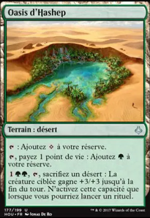 Oasis d'Hashep
