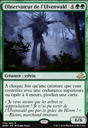 Observateur de l’Ulvenwald