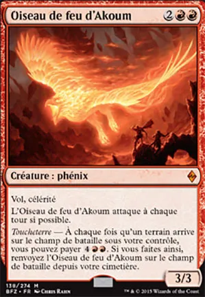 Oiseau de feu d'Akoum