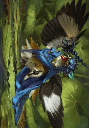 Oiseau moqueur - Illustration