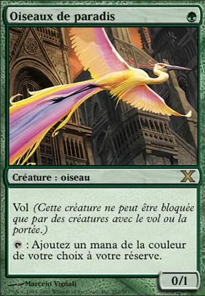 Oiseaux de paradis