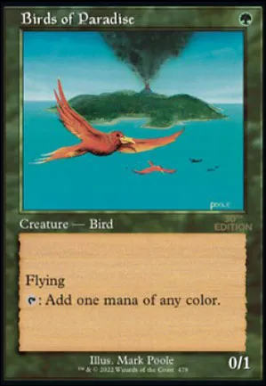 Oiseaux de paradis