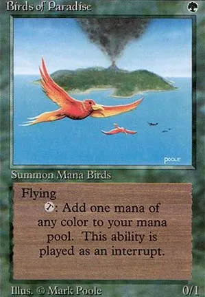 Oiseaux de paradis