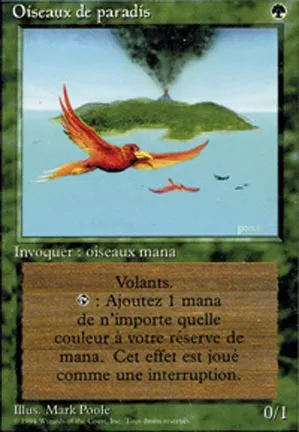 Oiseaux de paradis