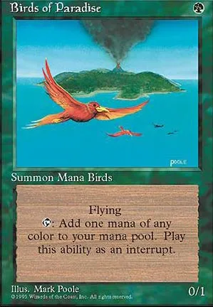 Oiseaux de paradis