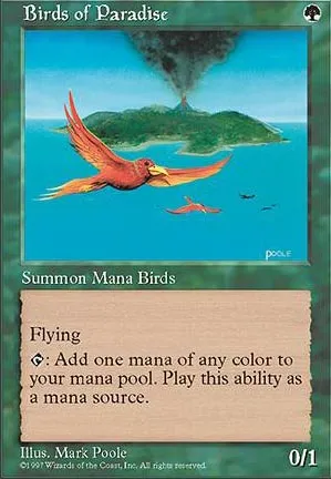 Oiseaux de paradis
