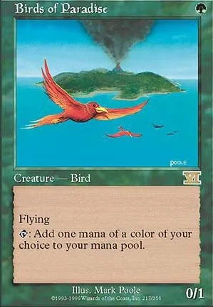 Oiseaux de paradis
