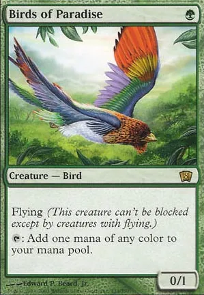Oiseaux de paradis