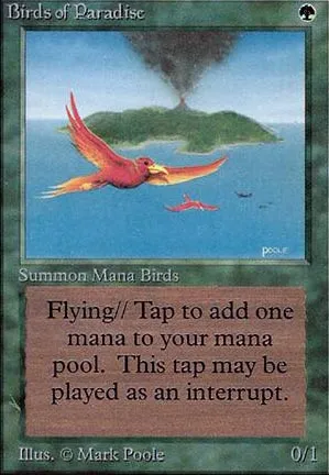 Oiseaux de paradis