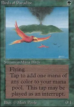 Oiseaux de paradis
