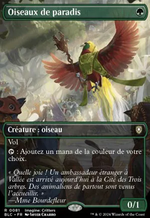 Oiseaux de paradis