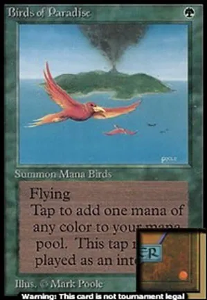 Oiseaux de paradis