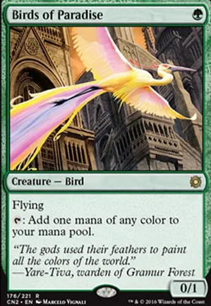 Oiseaux de paradis