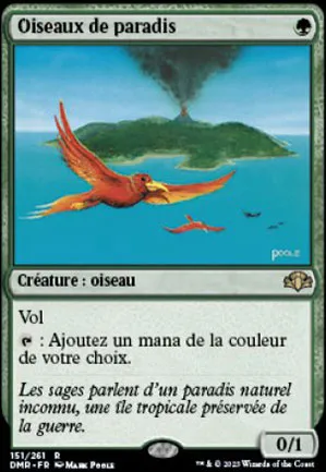 Oiseaux de paradis