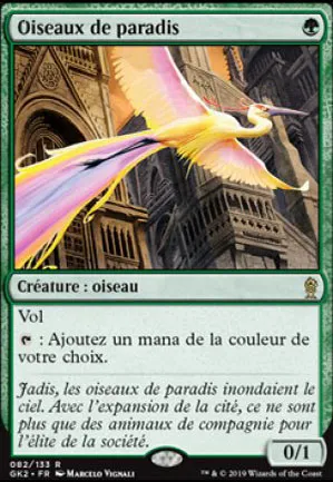 Oiseaux de paradis