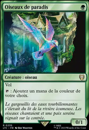 Oiseaux de paradis