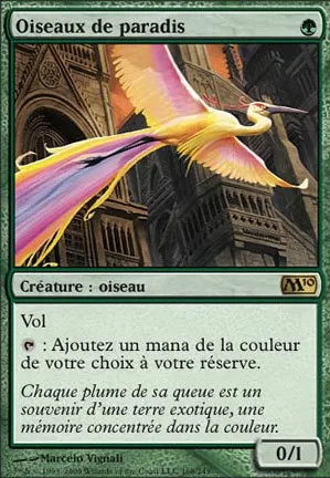 Oiseaux de paradis
