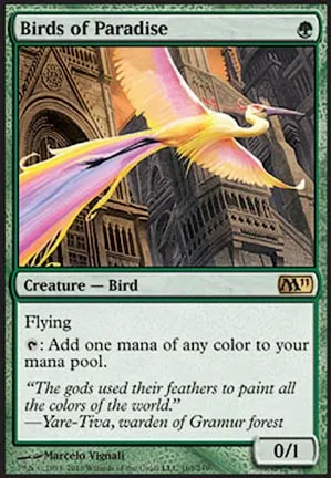 Oiseaux de paradis